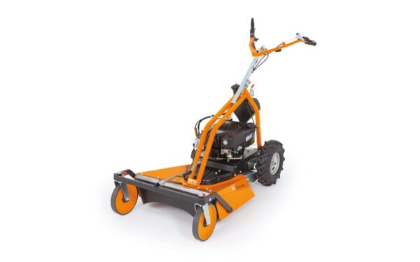 AS 63 4T B&S Wiesenmäher