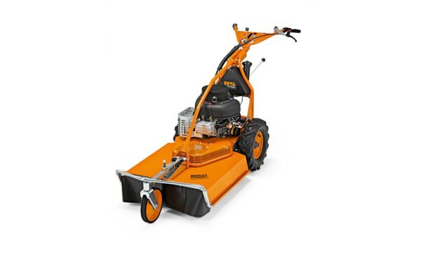 AS 65 4T B&S Wiesenmäher