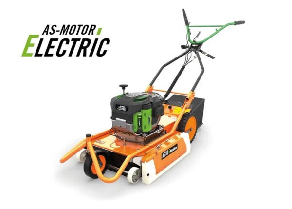 AS 50 E-WeedHex Unkrautvernichter